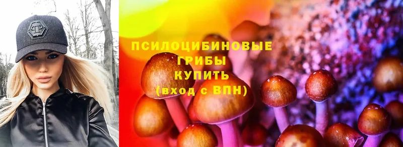 Галлюциногенные грибы Cubensis  Белоусово 